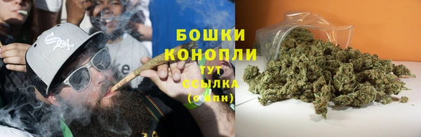 ПСИЛОЦИБИНОВЫЕ ГРИБЫ Балахна