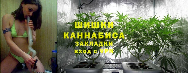ПСИЛОЦИБИНОВЫЕ ГРИБЫ Балахна